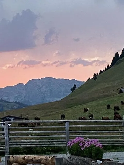 Chalet Sophia La Clusaz